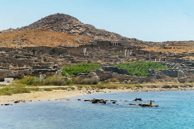 Billet Mykonos : Excursion guidée d'une journée au site archéologique de Délos
