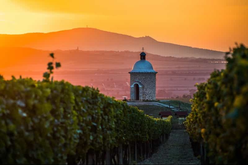 Billet Depuis Brno : visite privée à vélo électrique de la Toscane morave et dégustation de vin