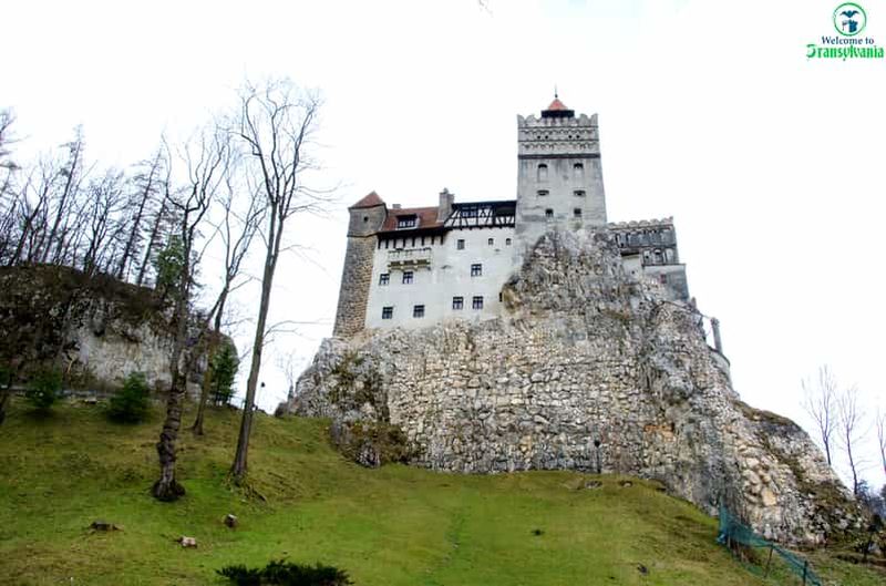 Visite du sanctuaire des ours et du château de Bran depuis Brasov