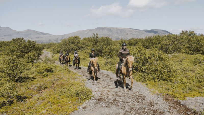 Billet Borgarnes : Excursion à cheval avec leçon de préparation