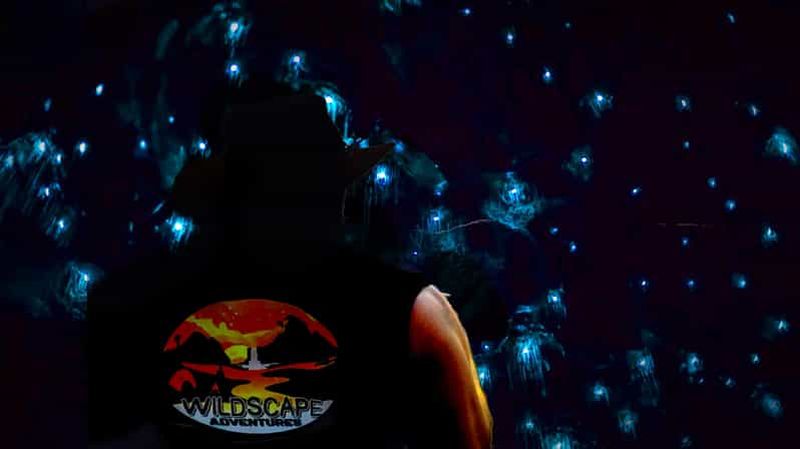 Sydney : Blue Mountains Glow Worms Wild Adventure by Night (Aventure nocturne des vers luisants)