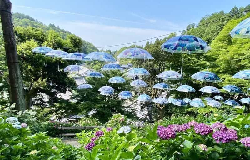 Kyoto : temples Yokoku-ji et Kiyomizu-dera – visite d’une journée