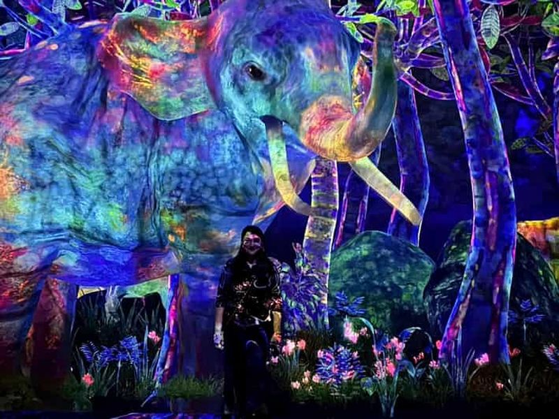 Tokyo : visite de TeamLab Planets et de la baie d'Odaiba Gundam