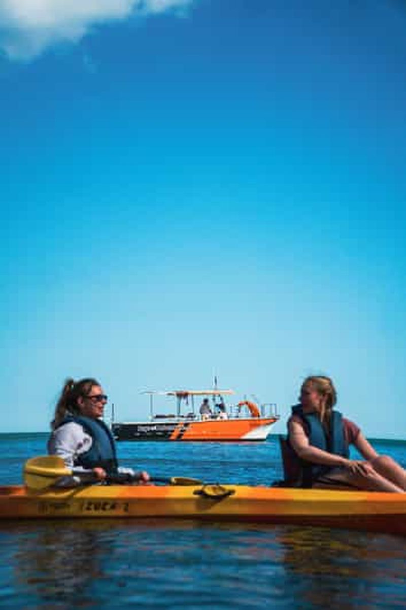 Depuis Lagos : visite des grottes de Ponta da Piedade en kayak à bord d'un catamaran