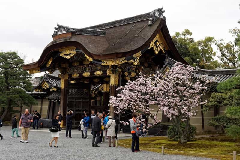 Kyoto : Visite guidée du palais impérial et du château de Nijo à pied