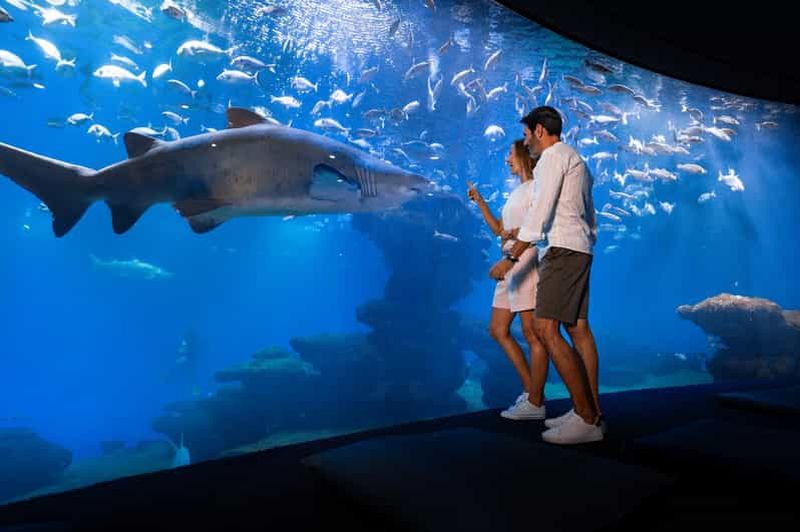 Majorque : billet d'entrée pour l'aquarium de Palma avec option cinéma 3D