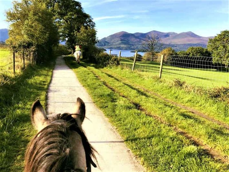 Billet Kerry : Visite guidée à cheval dans le parc national de Killarney