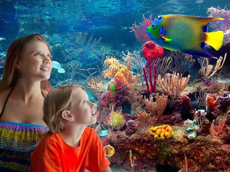 Depuis Playa del Carmen : Combo complet au parc Xcaret !