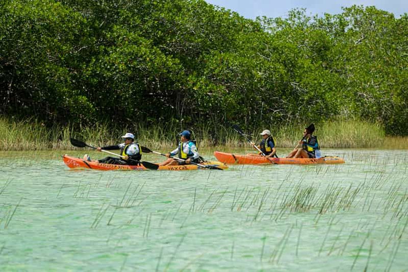 Billet Tulum : Excursion en kayak dans la réserve de biosphère de Sian Ka'an