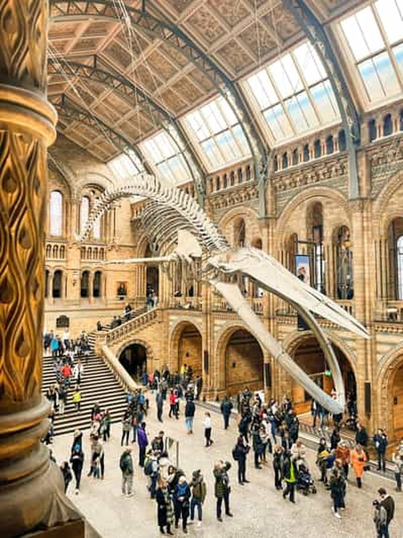 Londres : Visite guidée du musée d'histoire naturelle