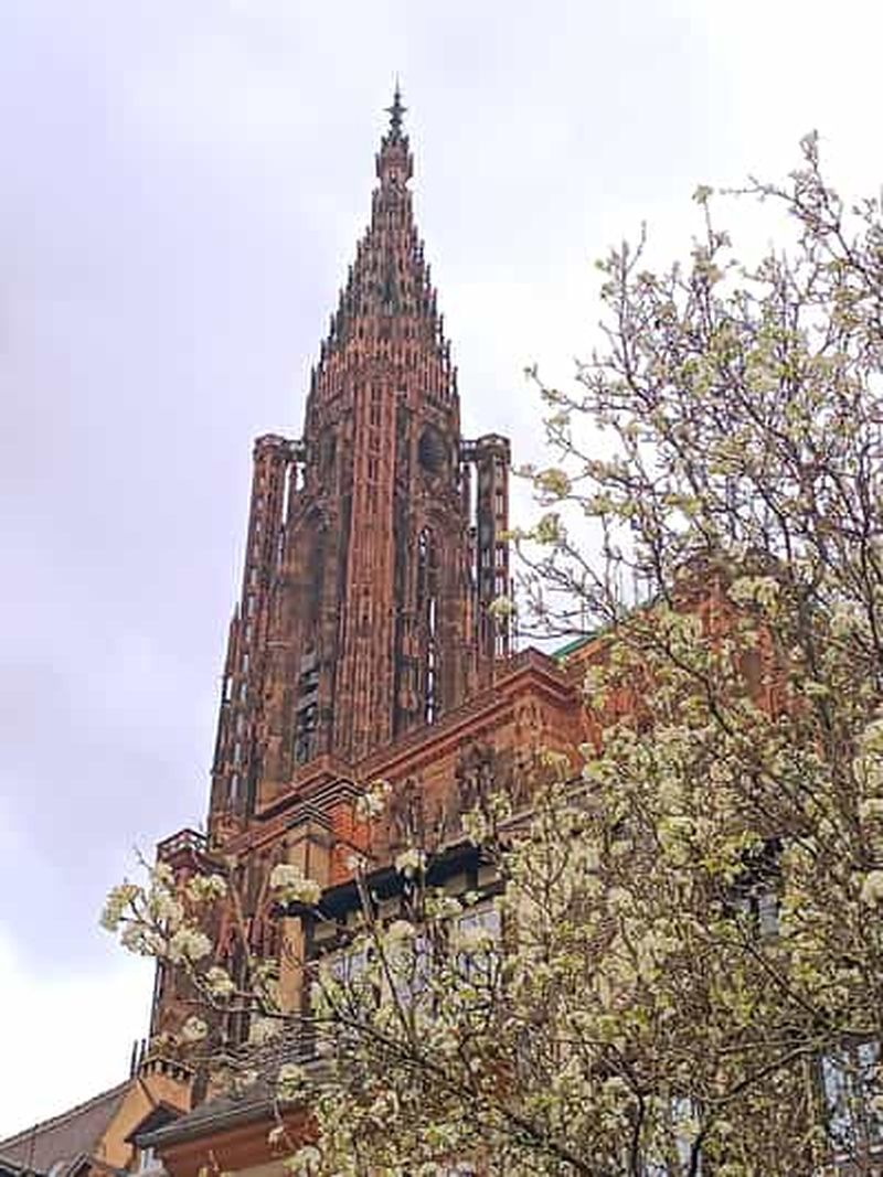 Visites Guidées de la Cathédrale de Strasbourg