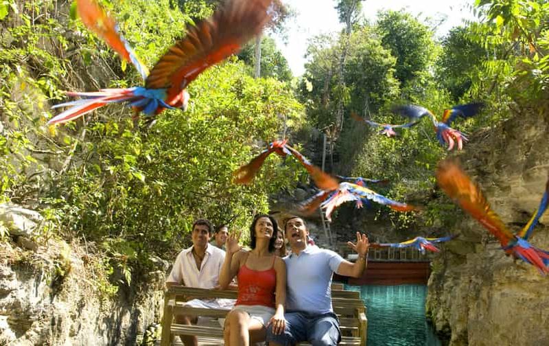 De Riviera Maya : Combo complet au parc Xcaret !