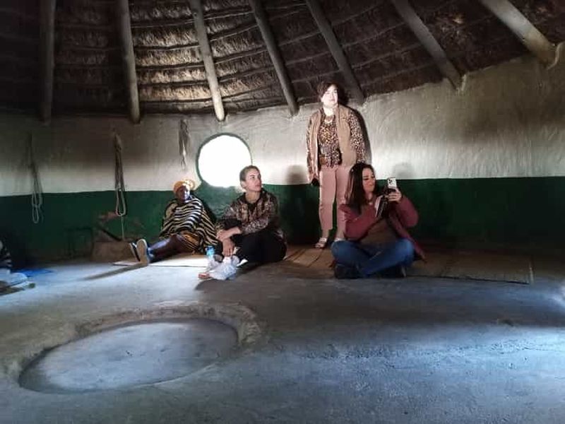 Depuis Johannesburg : Village culturel de Lesedi et visite du parc des lions