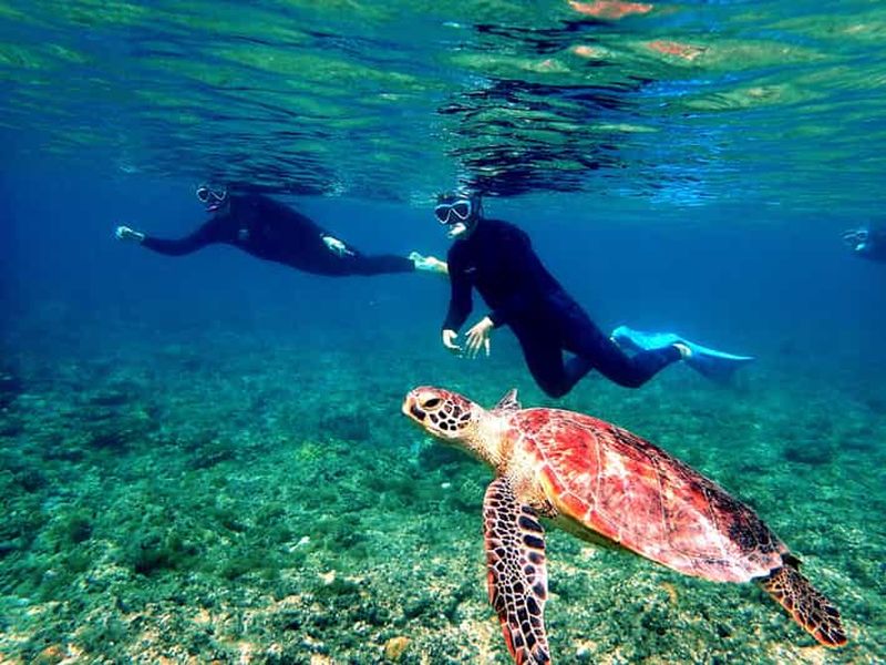 Billet Okinawa : excursion d'une journée aux îles Kerama depuis Naha