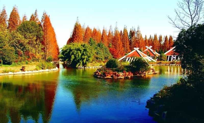 Activités en plein air à Shanghai : entrée au parc Dongping pour 2 personnes