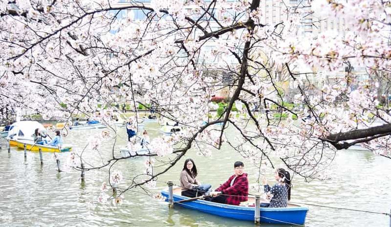 Tokyo : visite à pied du parc d'Ueno et de la rue Ameyoko