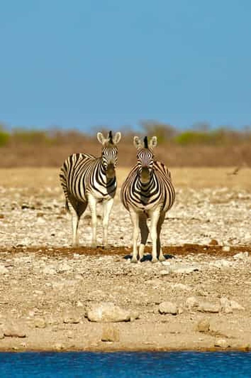 Hébergement de 4 jours à Sossusvlei et Swakopmund