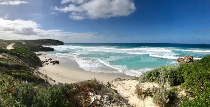 Penneshaw : Excursion à terre sur l'île de Kangourou (Kangaroo Island Scenic Tour)