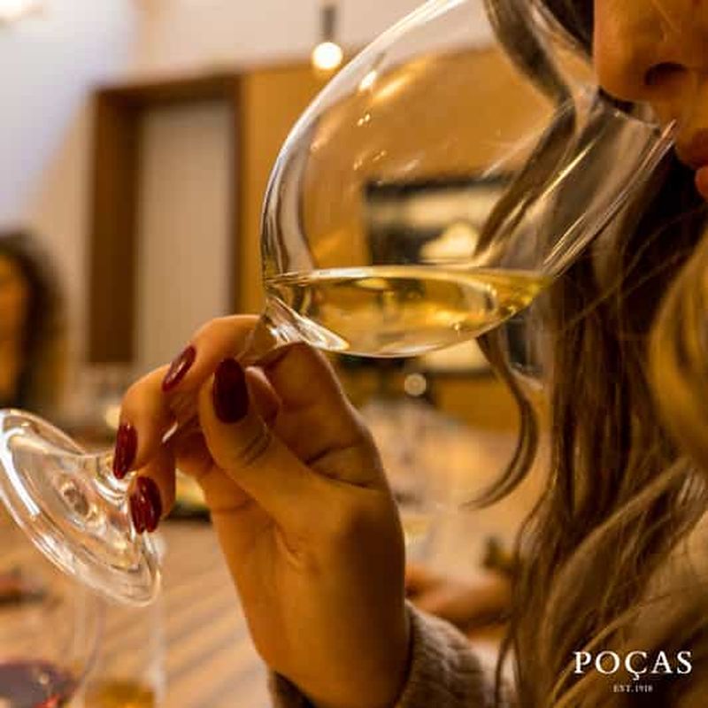 Vila Nova de Gaia : visite de vignobles avec 2 DOC Douro et 1 Porto