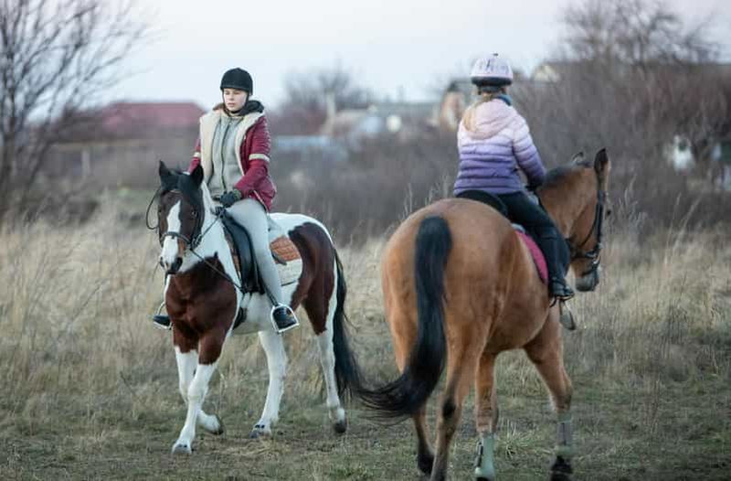 Billet Lisbonne : promenade à cheval dans le parc forestier de Monsanto pour les débutants