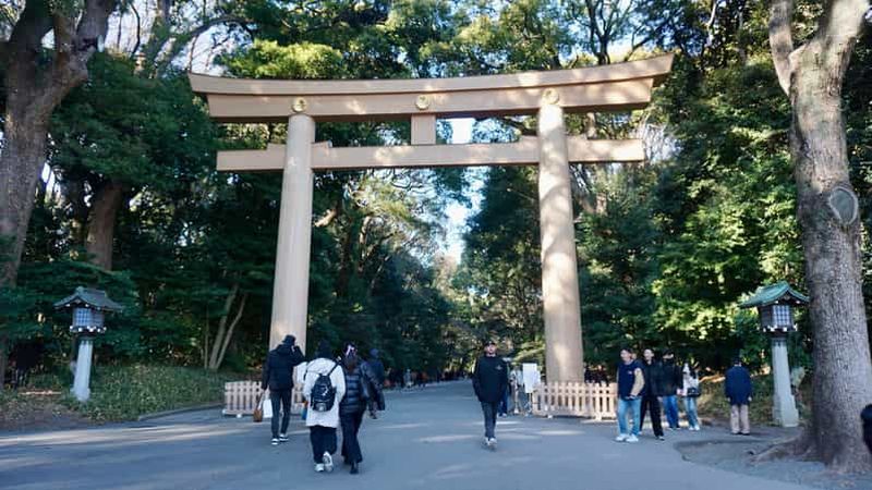 Tokyo : visite guidée du sanctuaire Meiji à Harajuku - Découvrez le shintoïsme