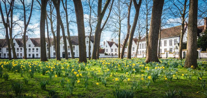 Béguinage de Bruges