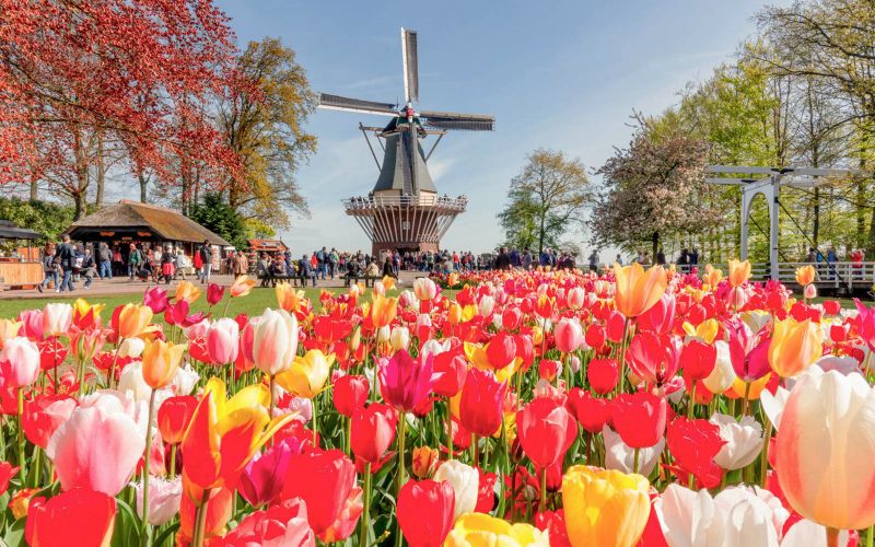 Visite de Keukenhof avec croisière sur les moulins à vent depuis Amsterdam
