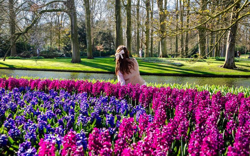 Entrée à Keukenhof avec transferts depuis Amsterdam