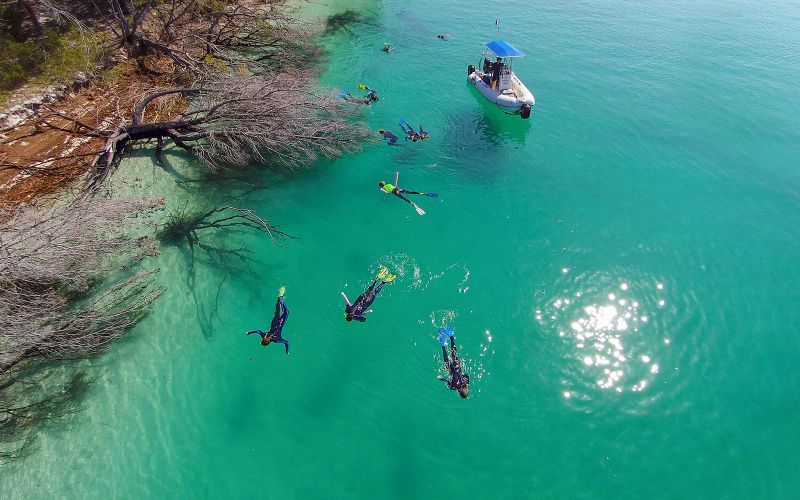 Billet Excursion d'une journée pour observer les baleines et visite de K'Gari avec déjeuner