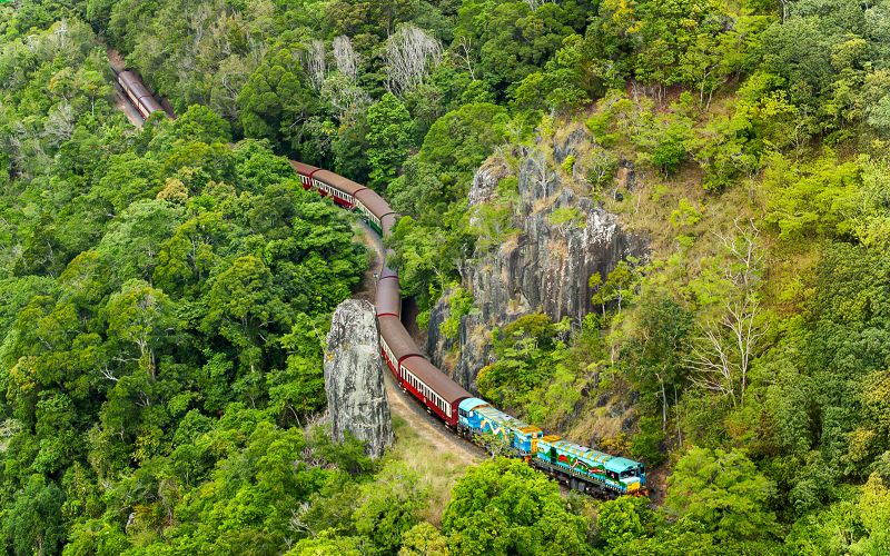 Depuis Cairns : Train panoramique, Skyrail et Hartley's Crocodile Adventures