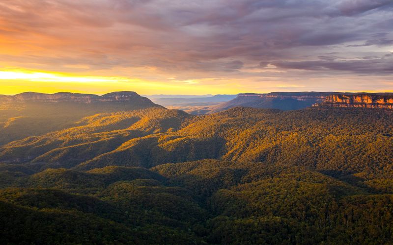 Visite des Blue Mountains au coucher du soleil : Bushwalks des chutes de Wentworth, faune et flore et belvédères