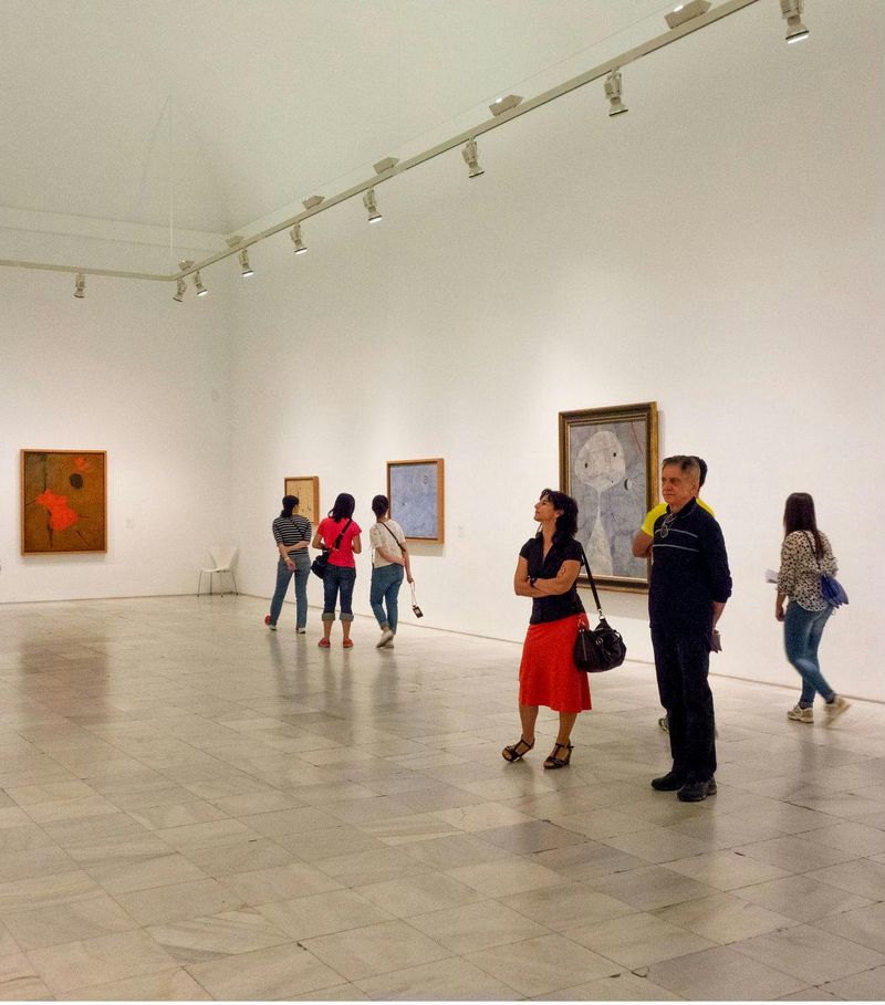 Visite guidée du Musée Reina Sofía à Madrid