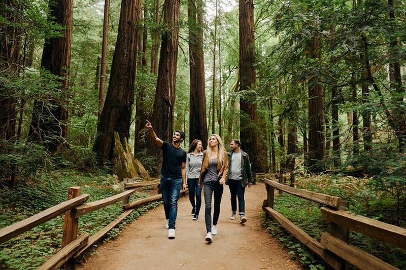 Circuit en bus à San Francisco et excursion à Muir Woods