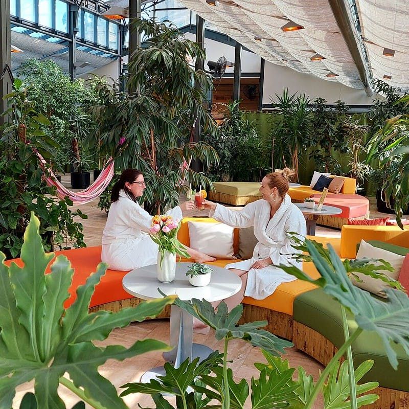 Billets pour les Bains Széchenyi et la Palm House à Budapest avec collation et cocktail