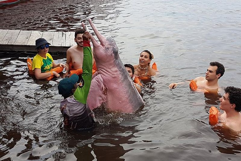 Billet Excursion à la Rencontre des Eaux depuis Manaus
