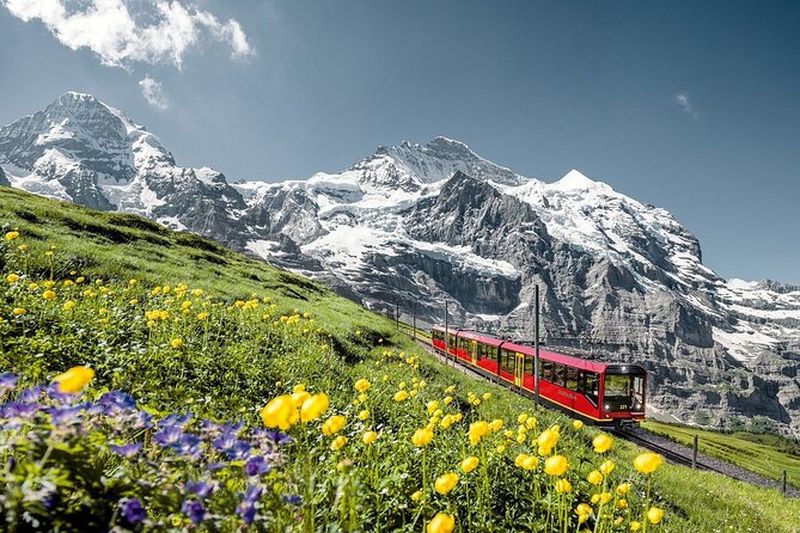 Excursion aux Alpes suisses Jungfraujoch et Oberland bernois depuis Lucerne