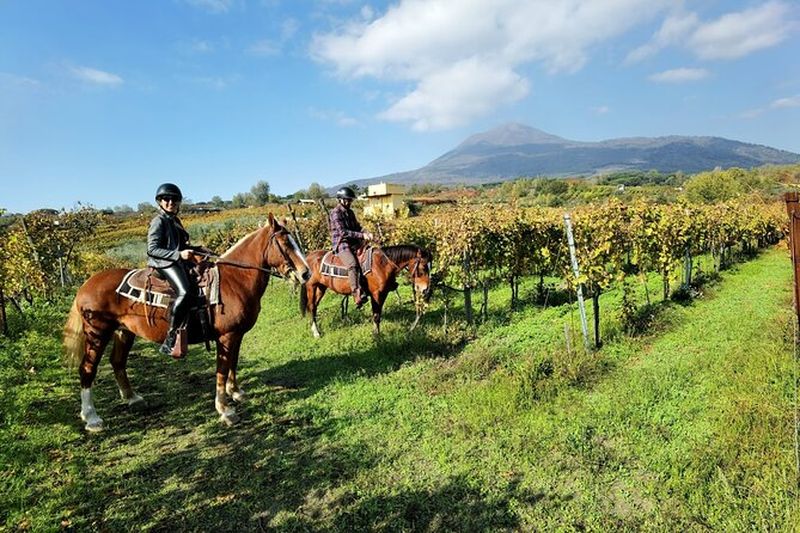 Balade à cheval sur le mont Vésuve avec transport depuis Pompéi