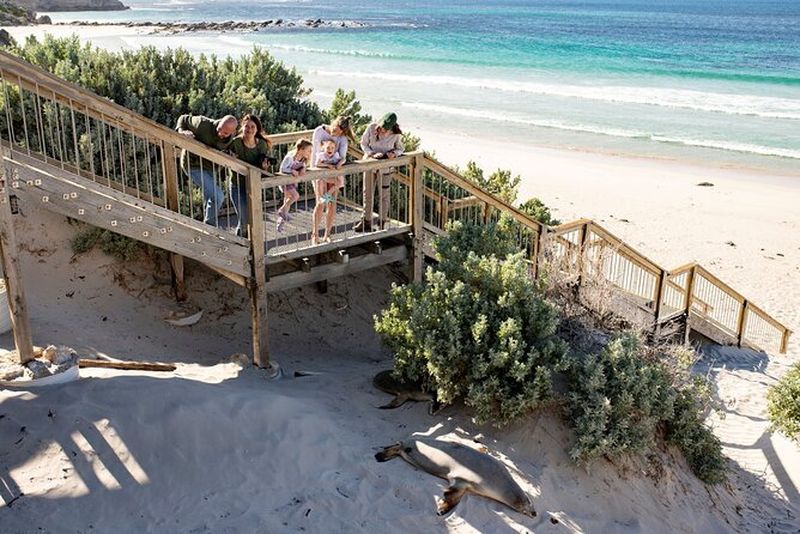 Billet Excursion à l'île Kangourou depuis Adélaïde