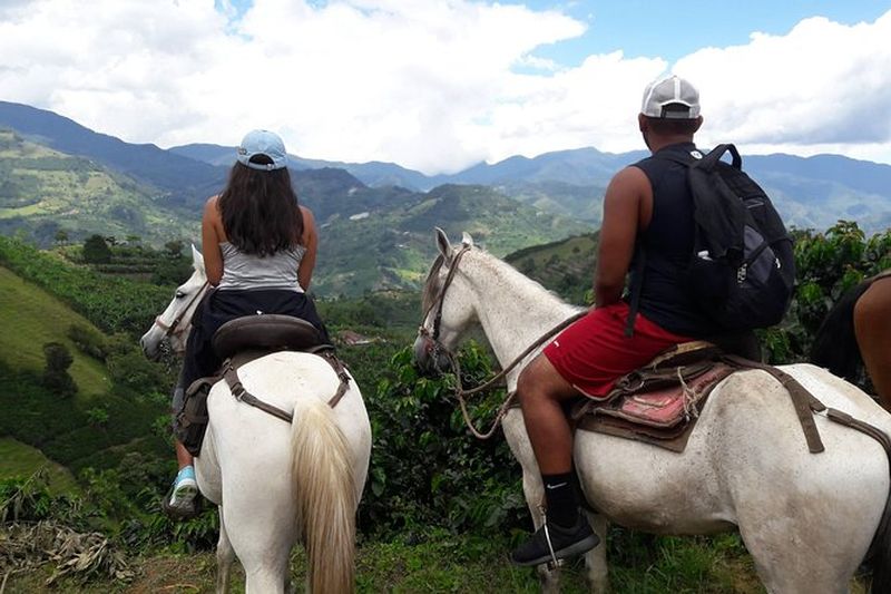 Billet Balade à cheval à Medellín