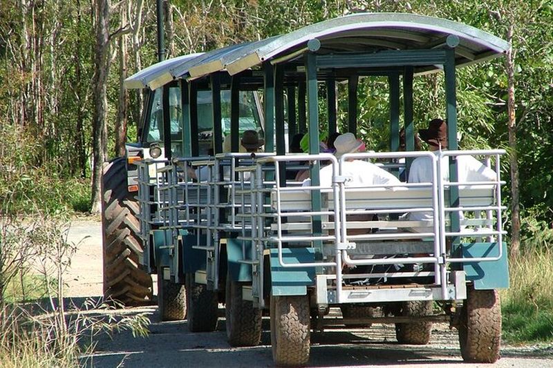 Billet Croisière pour observer les crocodiles à Airlie Beach