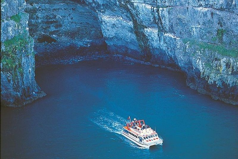 Billet Excursion à Akaroa depuis Christchurch