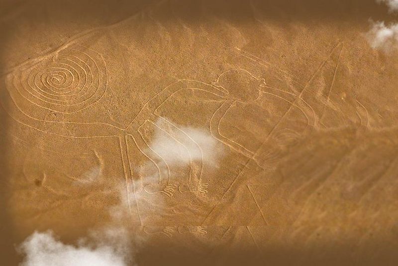 Excursion aux Lignes de Nazca depuis Ica