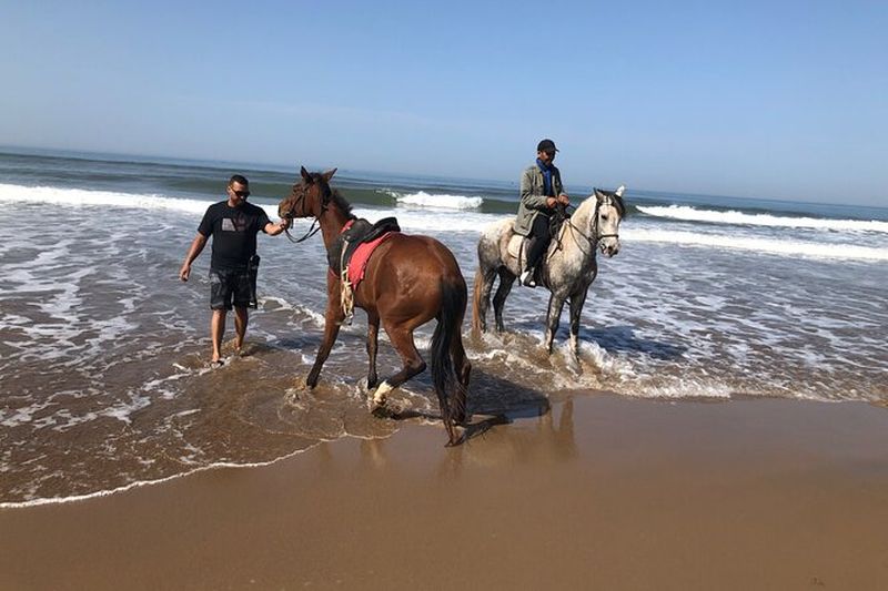 Balade à cheval sur la côte d'Agadir