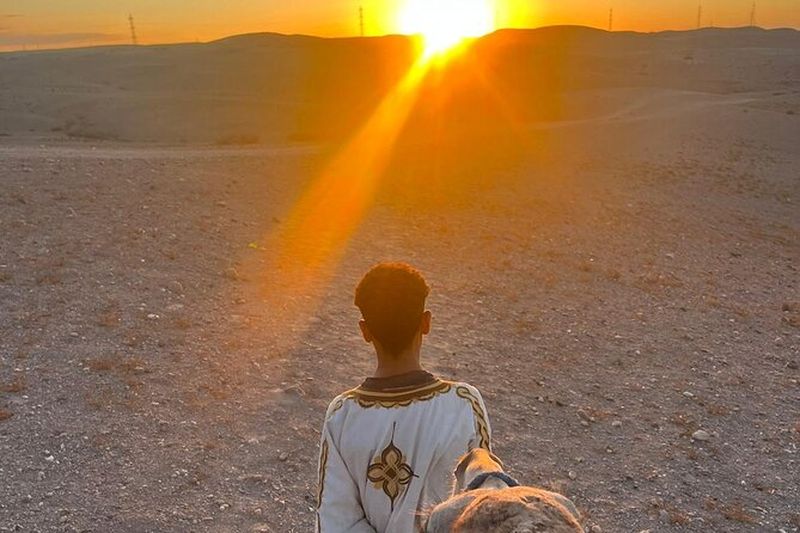 Billet Balade à dos de chameau dans la Palmeraie de Marrakech avec thé