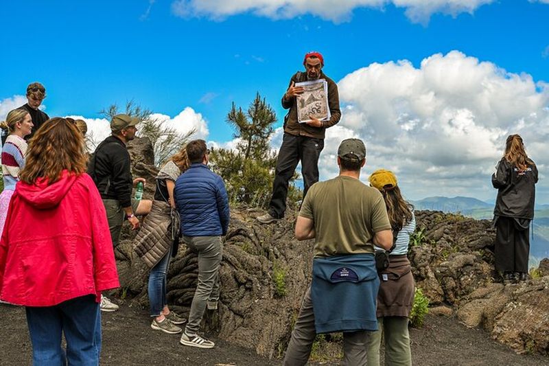 Excursion au Mont Vésuve et à Pompéi depuis Naples