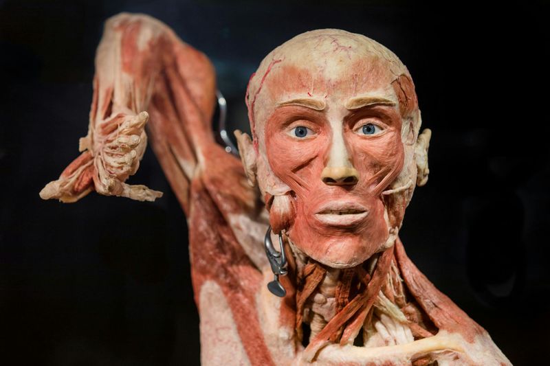 Billets pour l'exposition Body Worlds à Amsterdam