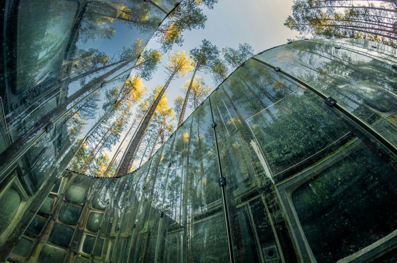 Billets pour les musées du Manoir de Liubavas et Europos Parkas à Vilnius