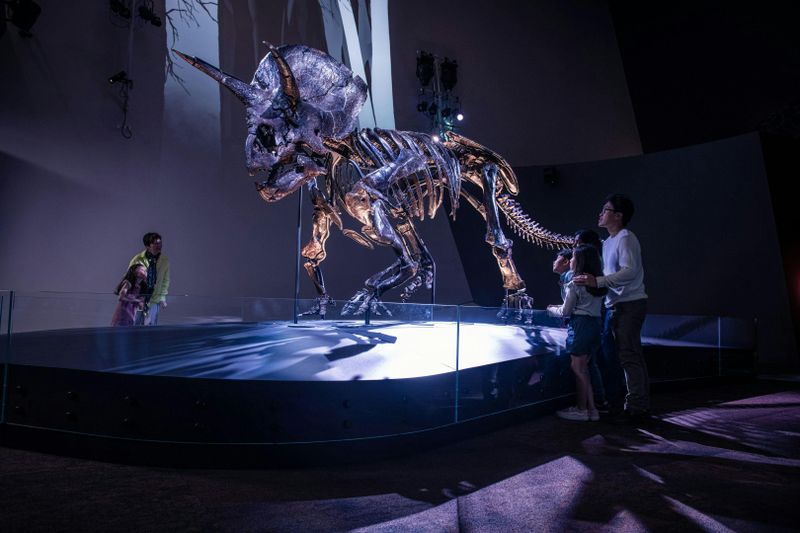 Billets pour le Melbourne Museum