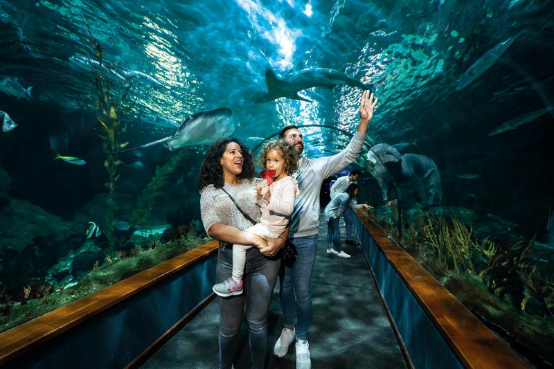 Billets pour le Loro Parque à Tenerife