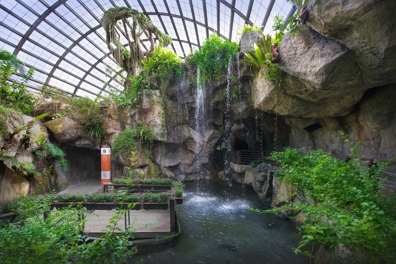 Billets pour Entopia by Penang Butterfly Farm